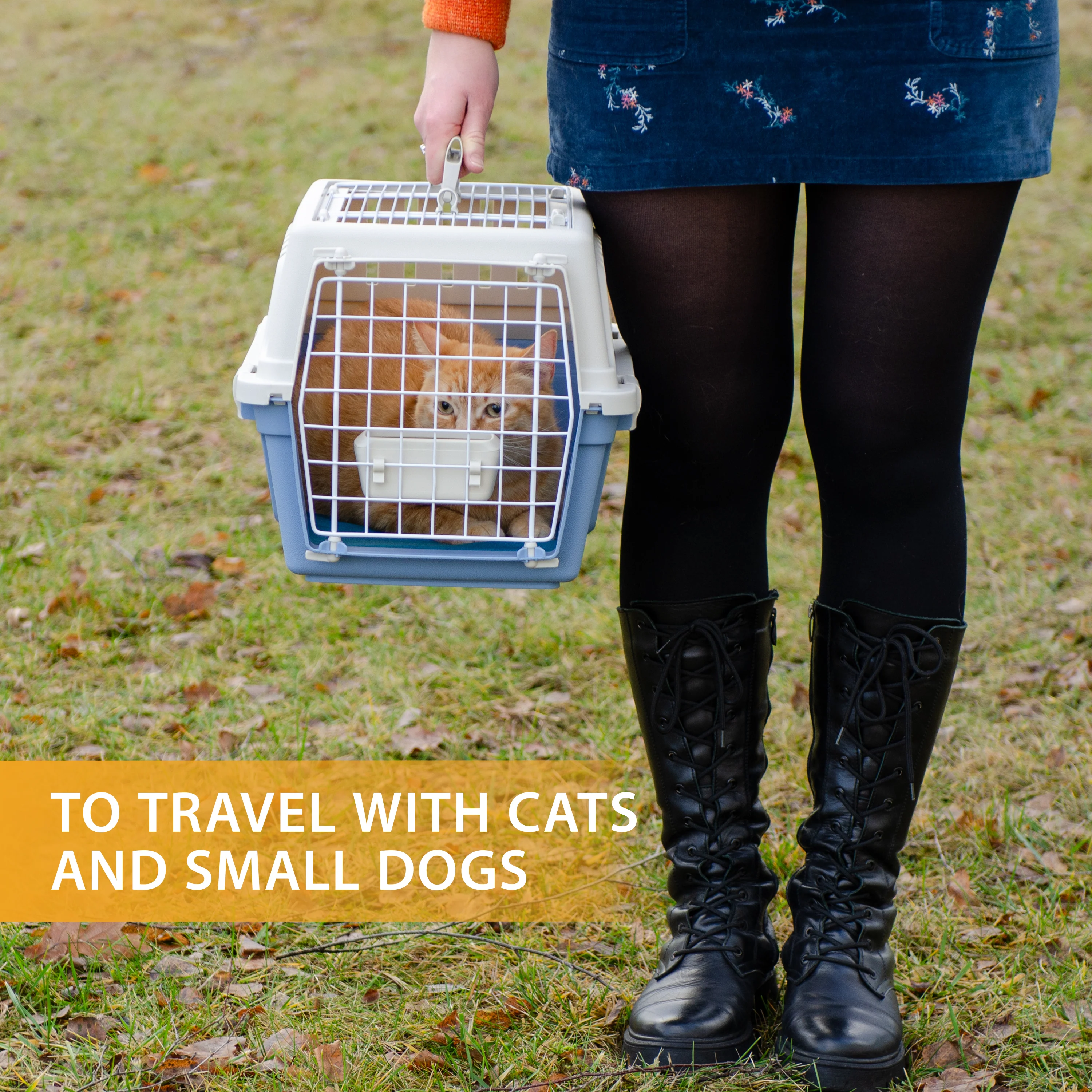 Imagen del producto 10