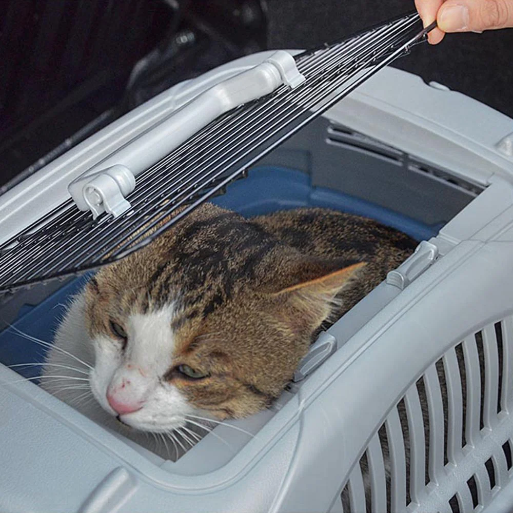 Imagen del producto 7