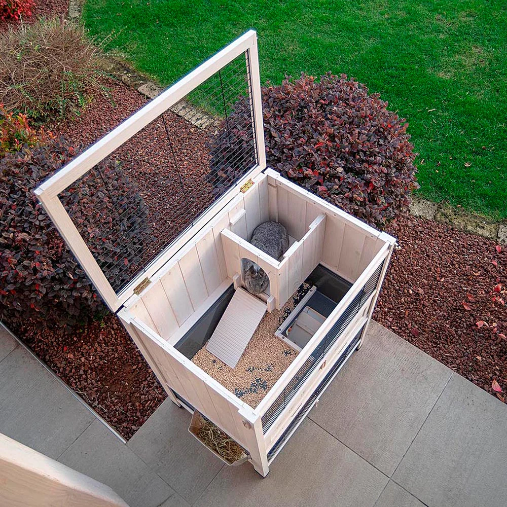 Imagen del producto 4