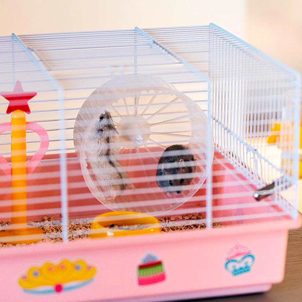 Imagen del producto 4