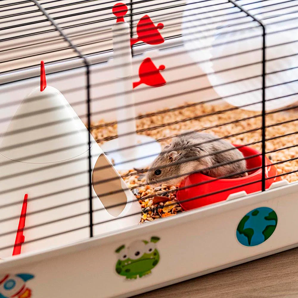 Imagen del producto 5