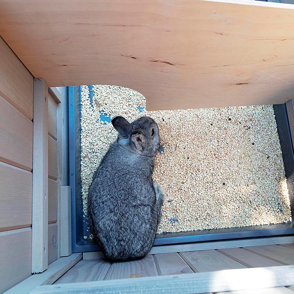 Imagen del producto 7