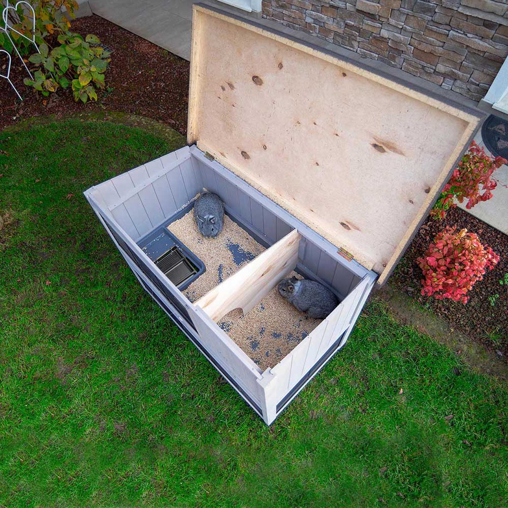 Imagen del producto 6