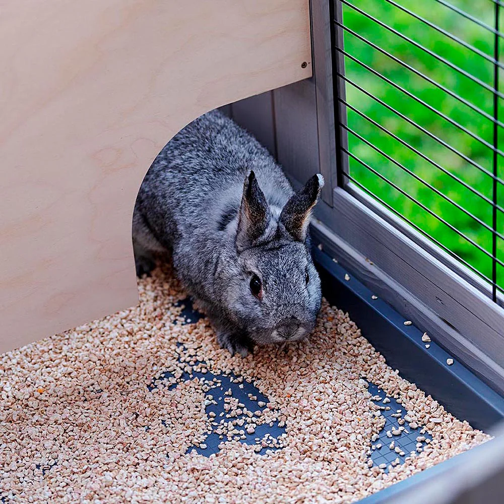 Imagen del producto 8