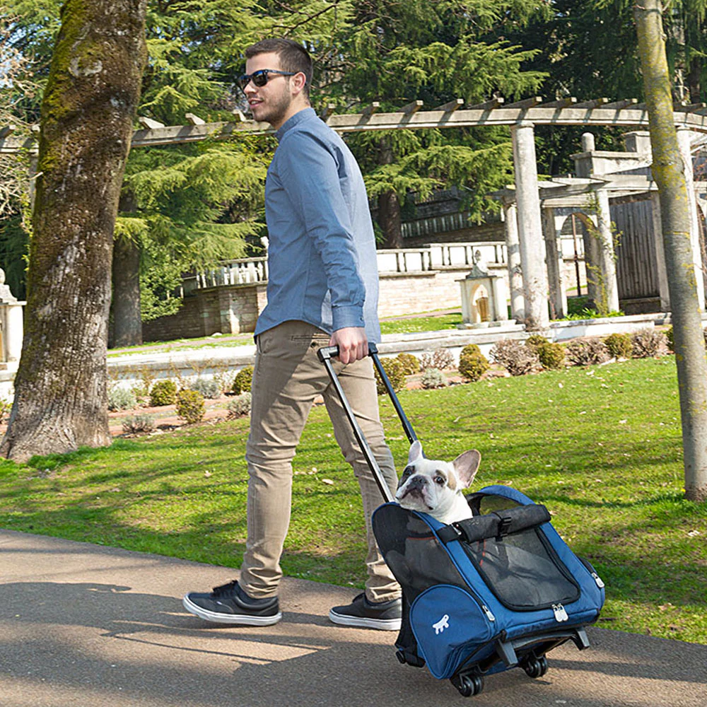 Imagen del producto 5