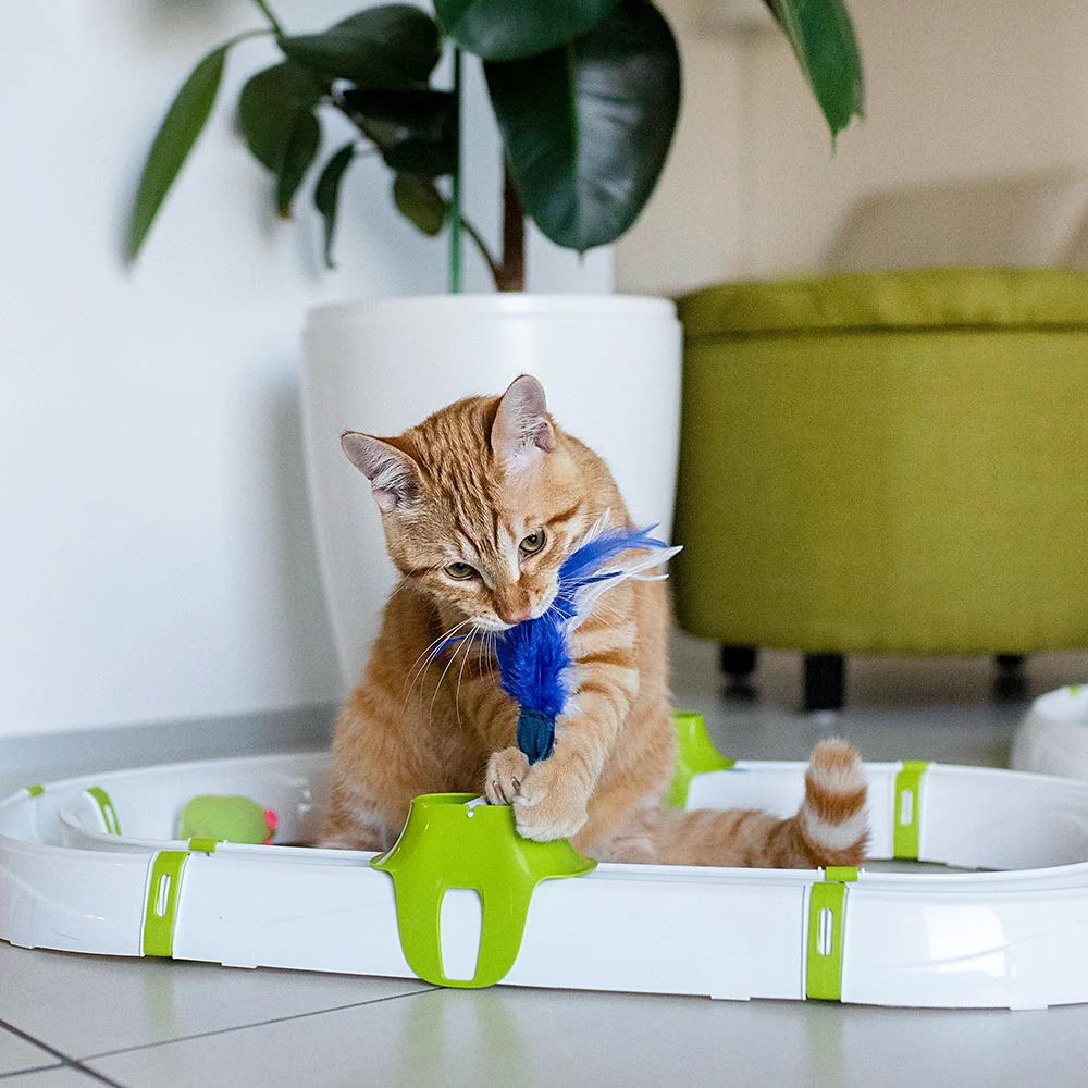 Imagen del producto 4